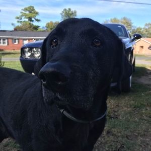 Meet your Posher, Debbie